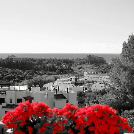 Vue Mer Proche De La Plage *