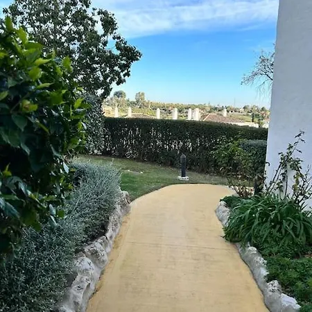 Vue Mer Proche De La Plage